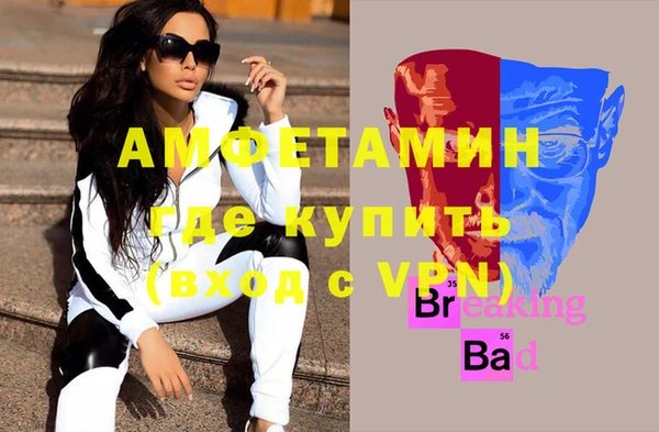 индика Алзамай