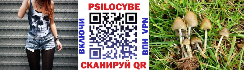 Галлюциногенные грибы MAGIC MUSHROOMS  kraken   Арамиль 